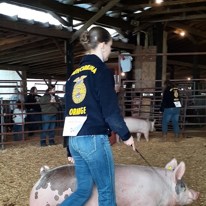 🍊Orange County Schools CTE tweet media