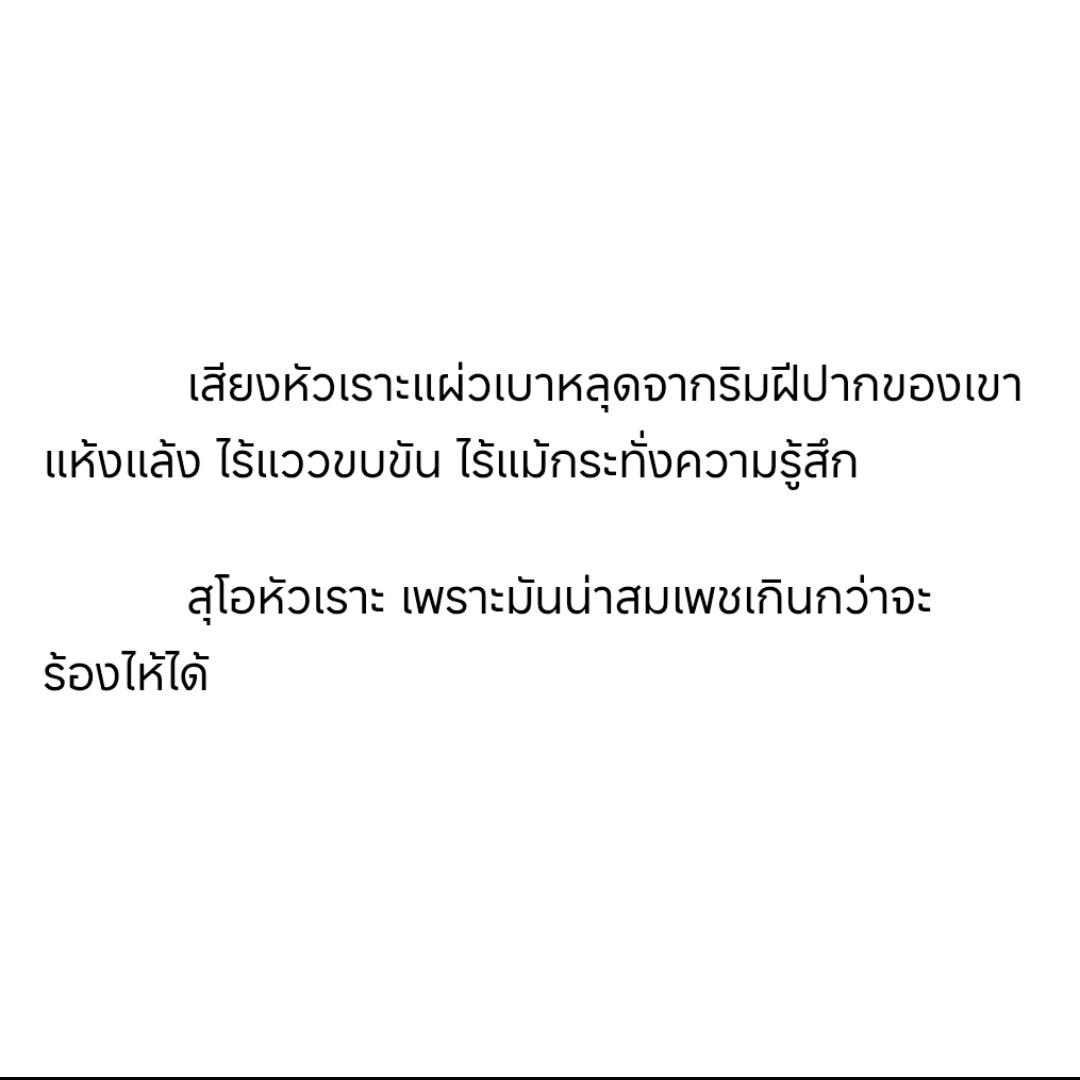 Ciel tweet media
