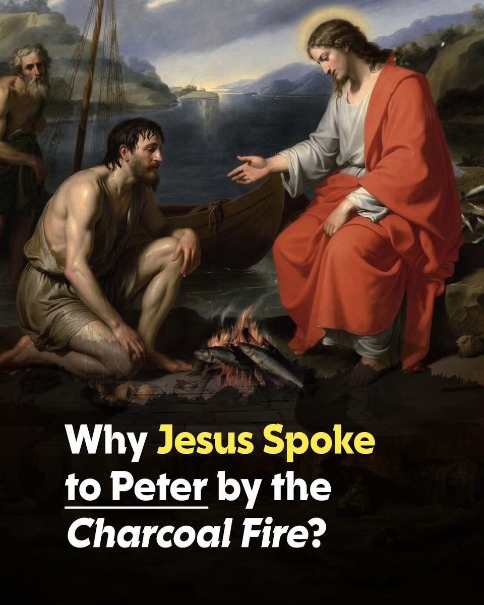 ☩ 𝕁𝕄𝕋 ☩ tweet media