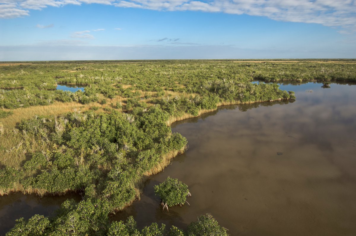 South Florida Water Management District tweet media