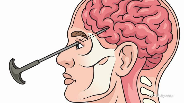 Sandy Petersen 🪔 tweet media