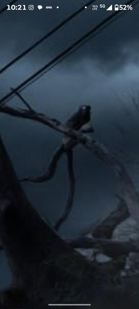 ࿗ Anभिज्ञ ࿗ tweet media