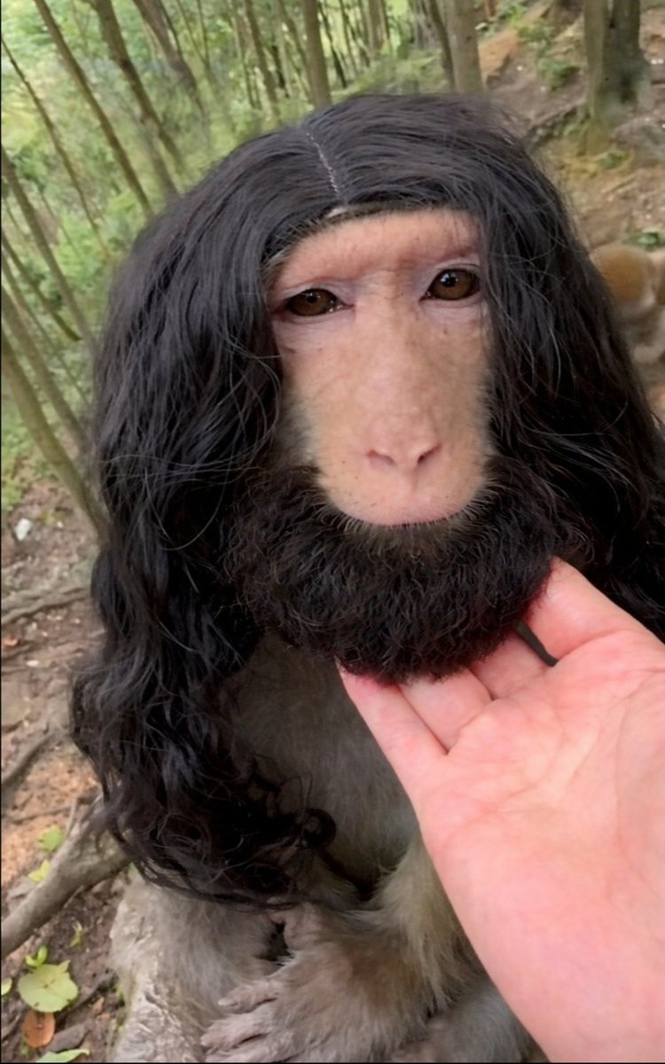 ابن الجبل 🇸🇨 tweet media