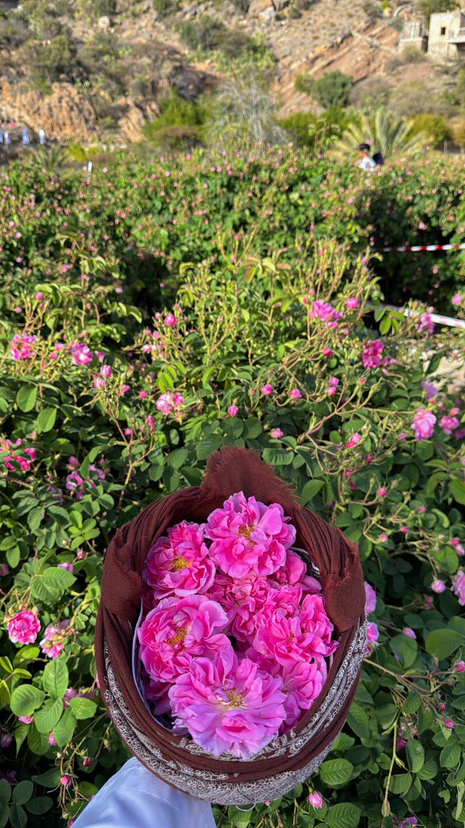 𝙰𝚋𝚍𝚞𝚕𝚑𝚊𝚖𝚒𝚍🪐 tweet media