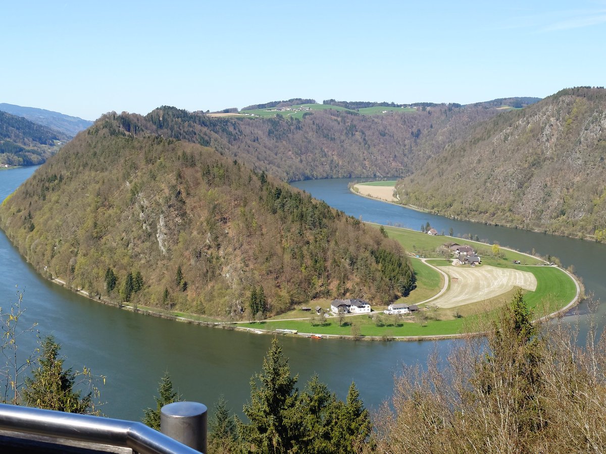 peepeepoopoo tweet media