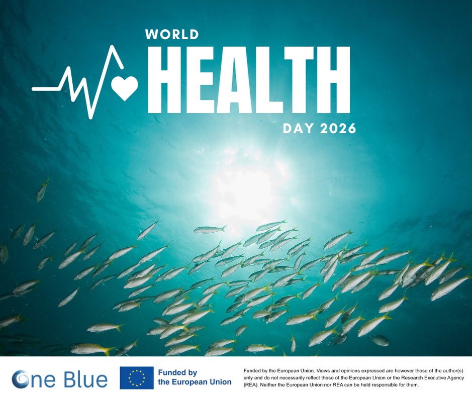 one blue eu tweet media