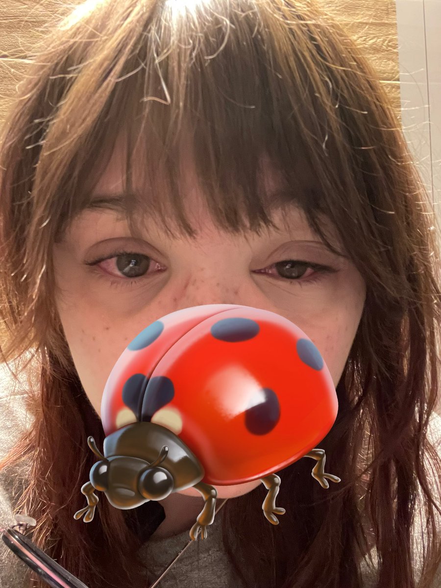 dogpoasting tweet media