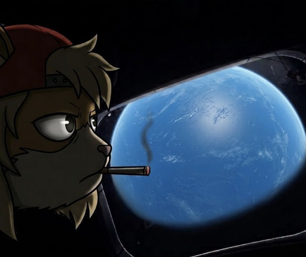 Bodhi_Cet tweet media