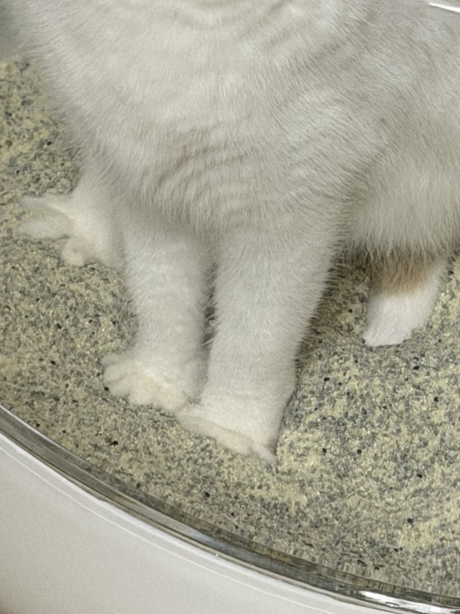 김비비 tweet media