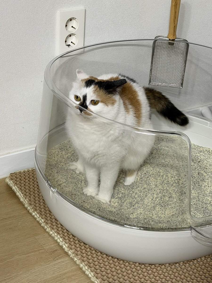 김비비 tweet media