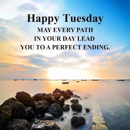 barbiesway's tweet image. Life isn't easy with all its ups &amp;amp; downs BUT it IS a blessing. We have choices. Opportunities to learn, set goals, grow, hope, &amp;amp; live 🙏😀❤️🇺🇸🐾🌻📚✝️
#TuesdayVibe #TuesdayFeeling #TuesdayBlessings
𝗚𝗼𝗼𝗱 𝗠𝗼𝗿𝗻𝗶𝗻𝗴☕️🫖 𝐆𝐨𝐨𝐝 𝐀𝐟𝐭𝐞𝐫𝐧𝐨𝐨𝐧🌞 𝗚𝗼𝗼𝗱 𝗡𝗶𝗴𝗵𝘁🌛⭐️