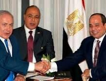 Manal Alotaibi tweet media