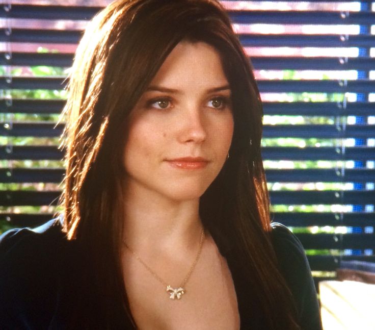 da(ni) ⸸ tweet media