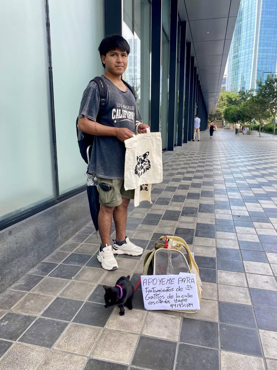 Pia Hildebrandt tweet media