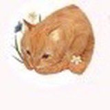 ♡𝐦𝐚𝐝𝐞𝐛𝐲𝐧𝐧𐙚⊹˚. tweet media