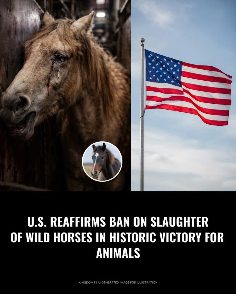 Hillbilly tweet media