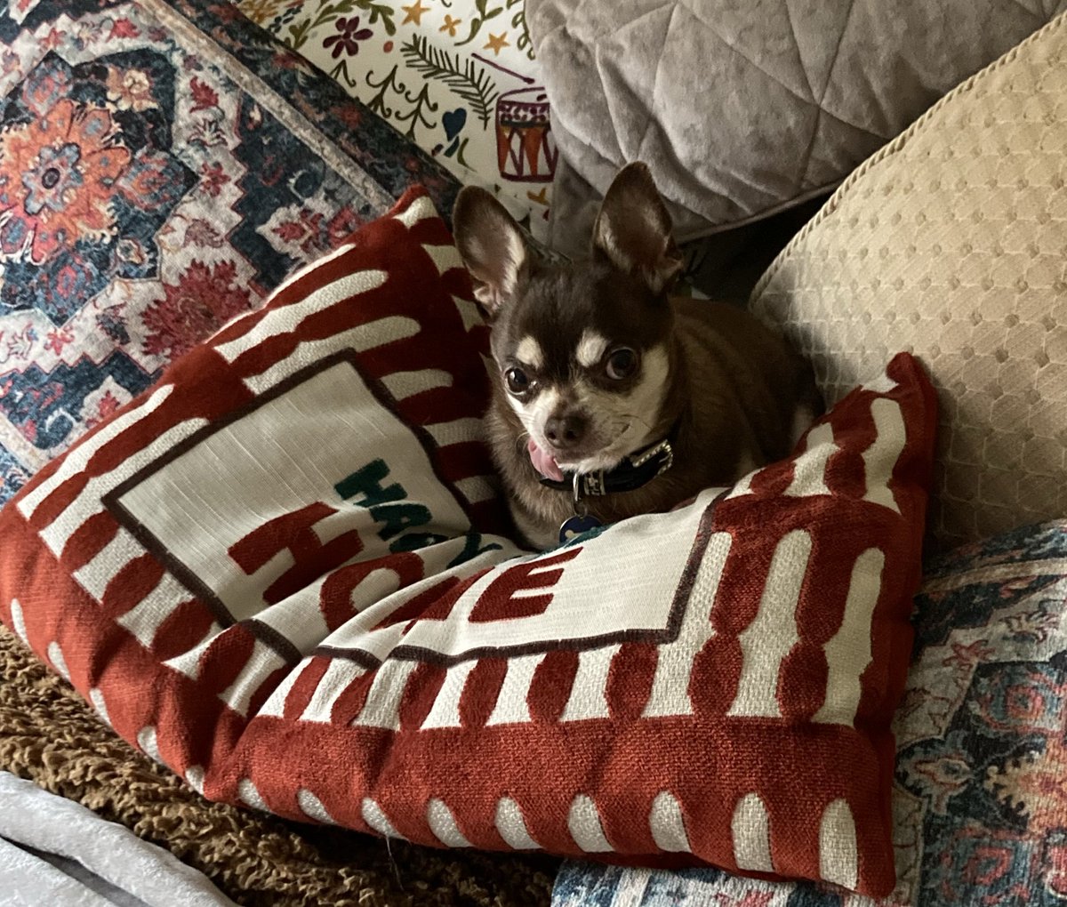 Billy Bear and Chums tweet media