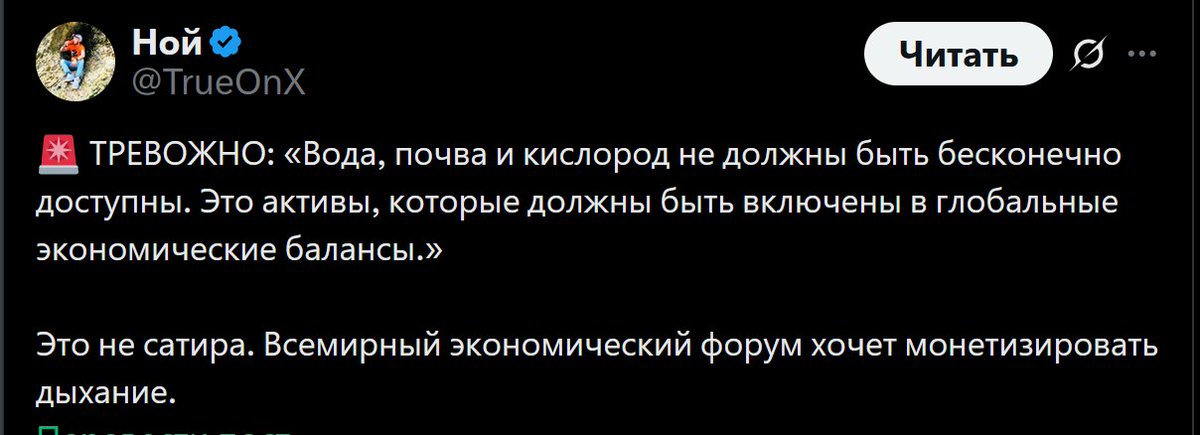 Анна tweet media