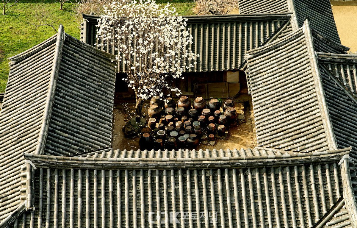 한복덕질계 tweet media