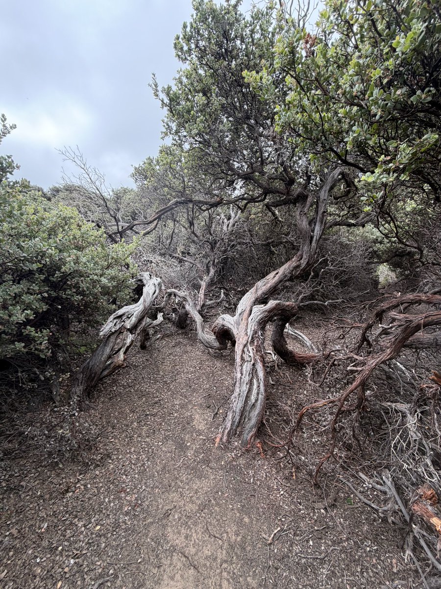 Tunnelsnakesfool 🤌🏻🫡🫠 tweet media