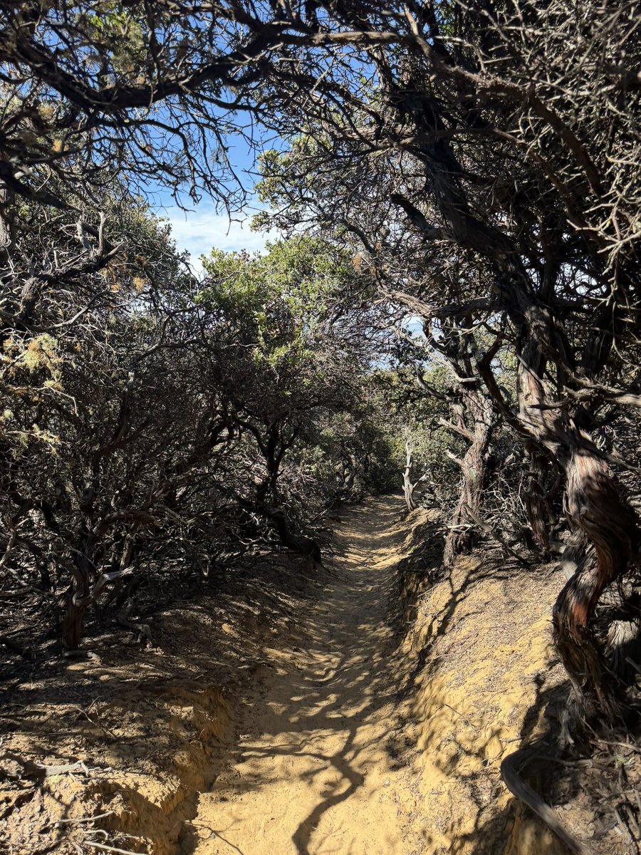 Tunnelsnakesfool 🤌🏻🫡🫠 tweet media