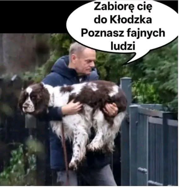 Tomasz Wesolowski tweet media