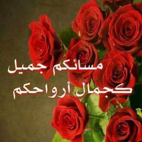 راقية بذوقي tweet media