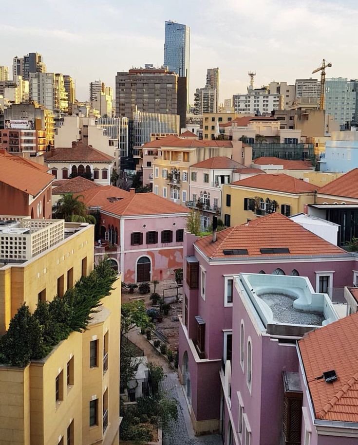 Beauty Explorer tweet media