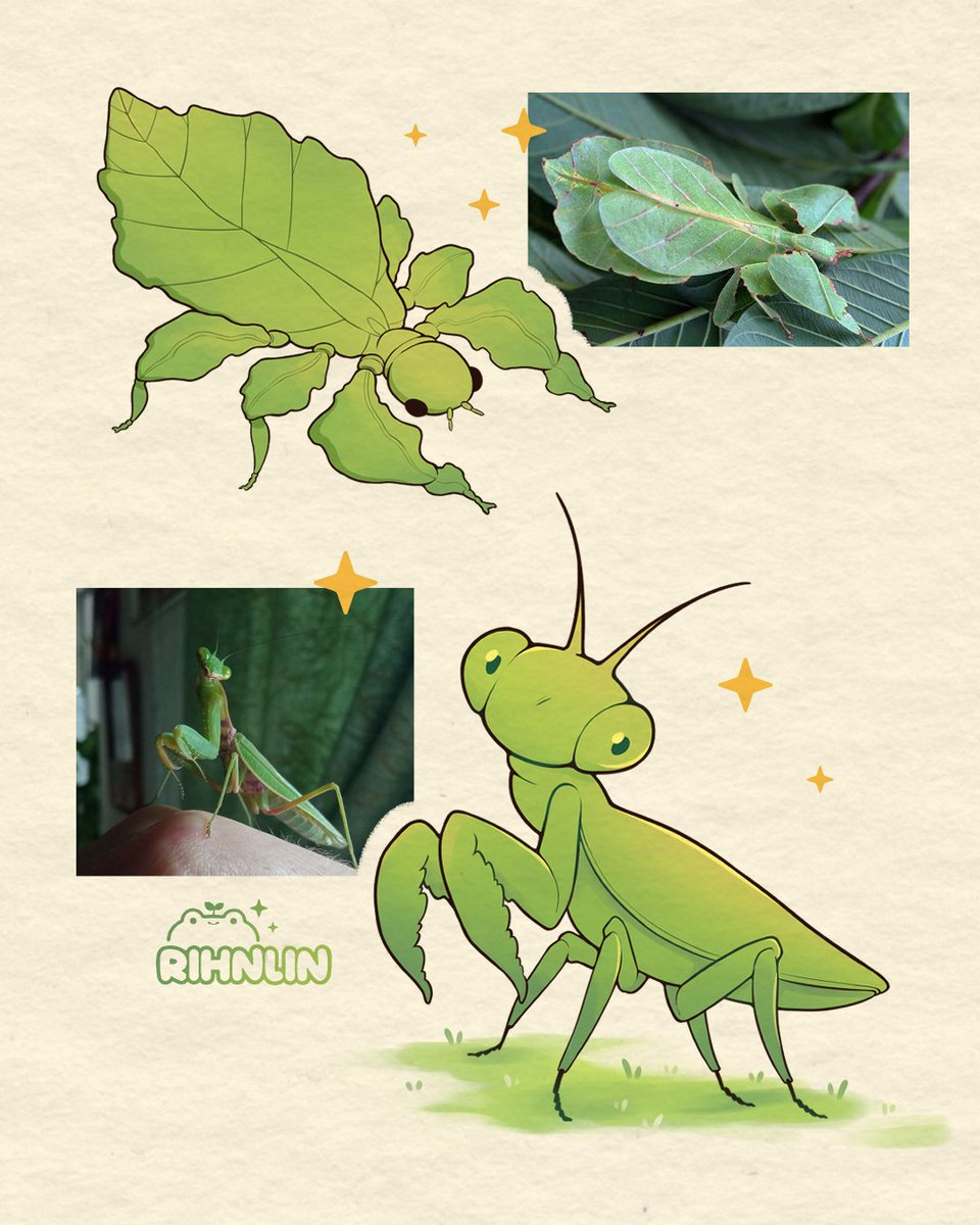 Rihnlin 🌱🪲🐸 tweet media