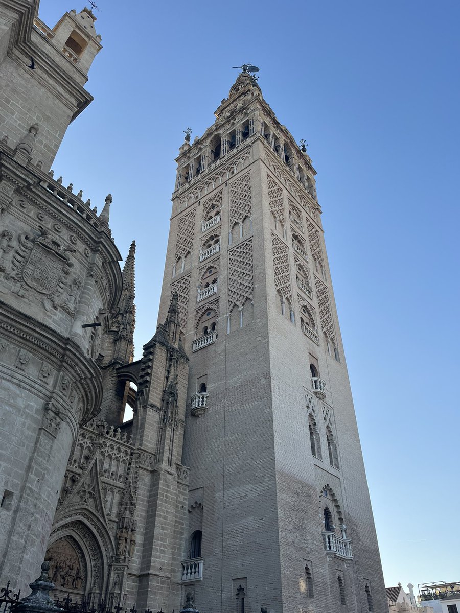 gemma :) tweet media