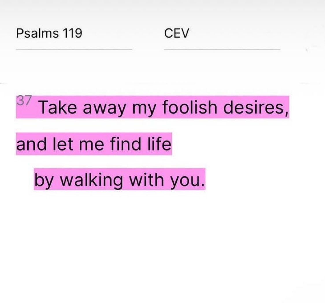 Bible 365 tweet media