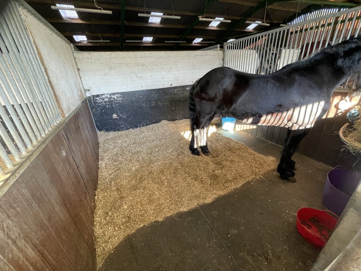 Gareth Williams. tweet media