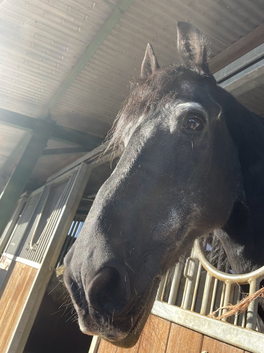 Gareth Williams. tweet media