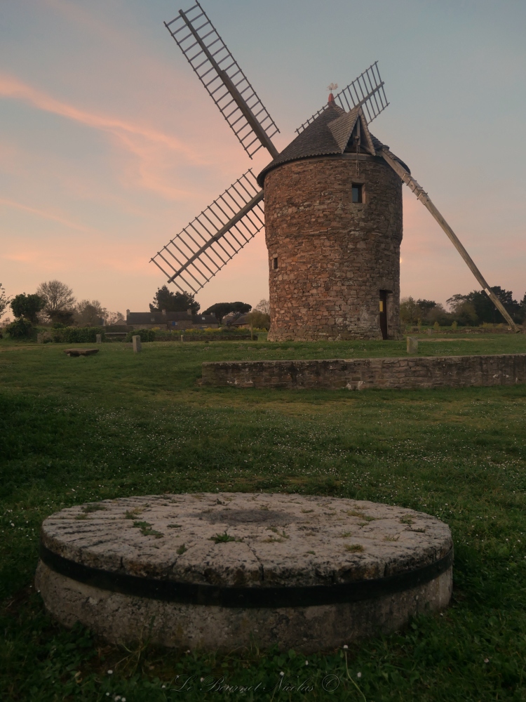 Nicolas le Bournot tweet media