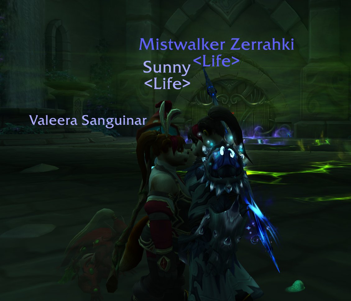 Zerrahki's tweet photo. Doing Delves with the partner! ... featuring a sneaky Valeera. https://t.co/TP26vSzbyi