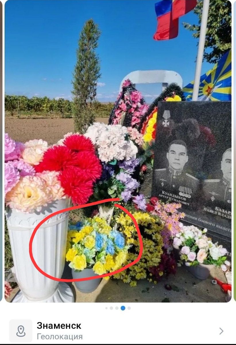 Пухнастий українобот 🇺🇦⚓️ tweet media