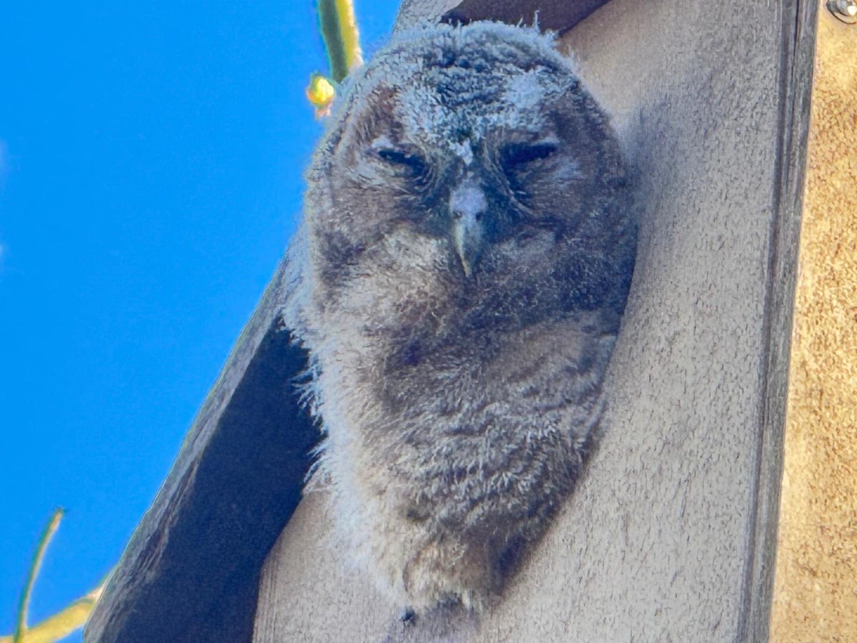 Jan Born tweet media