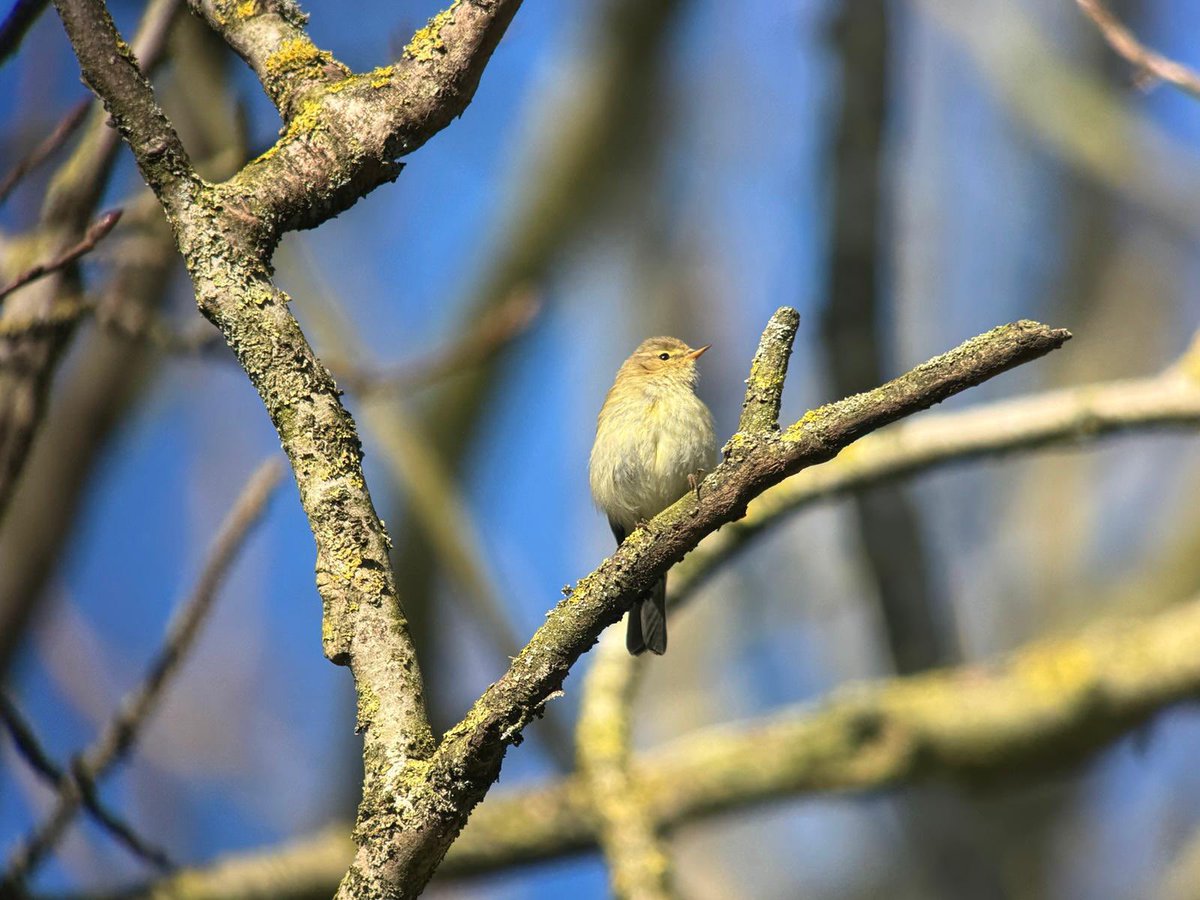 Dave Craven tweet media