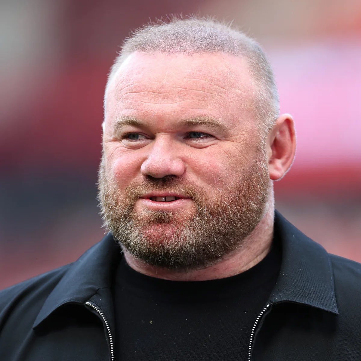 North End Podcast tweet media