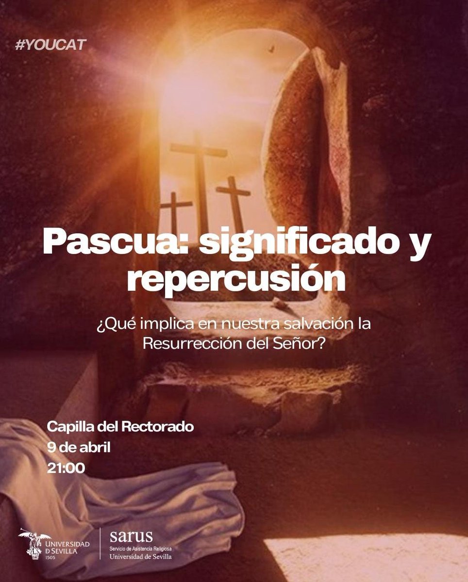 SARUS Sevilla tweet media