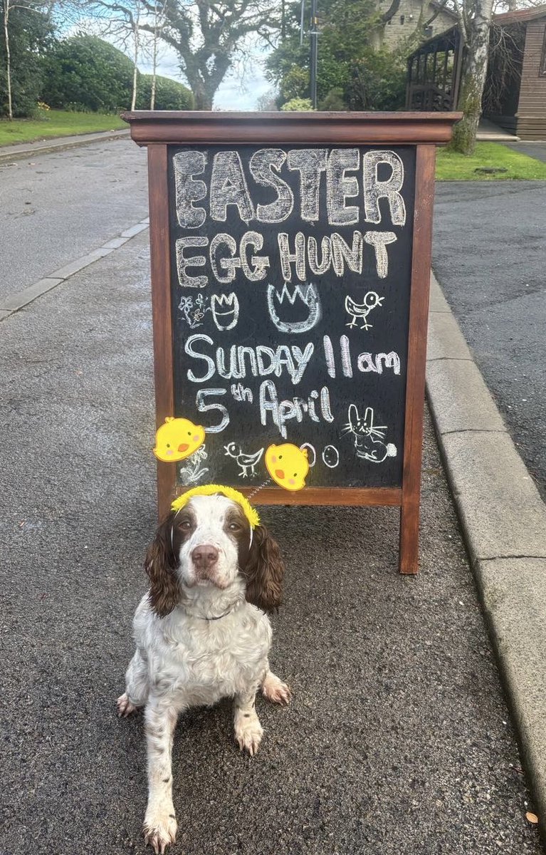 Retired Police Dogs Merseyside tweet media