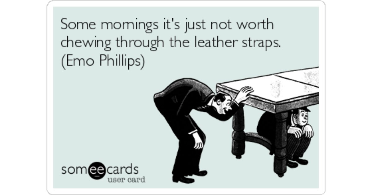 Sean McClintock tweet media