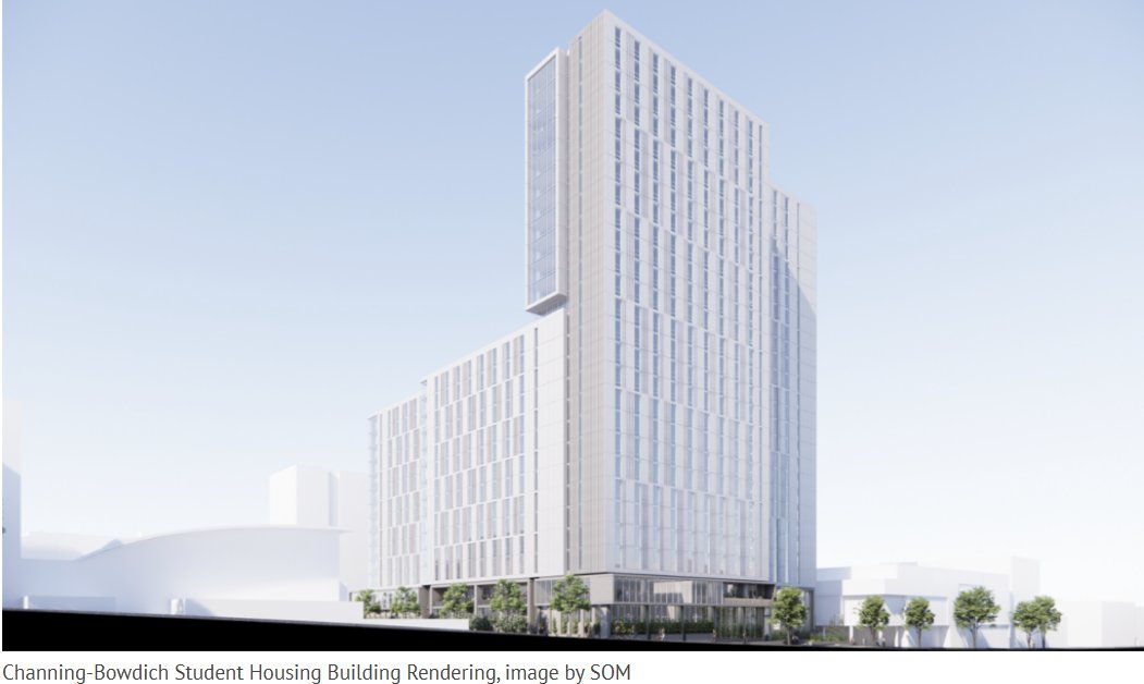 Tyler | Kenji Capital tweet media