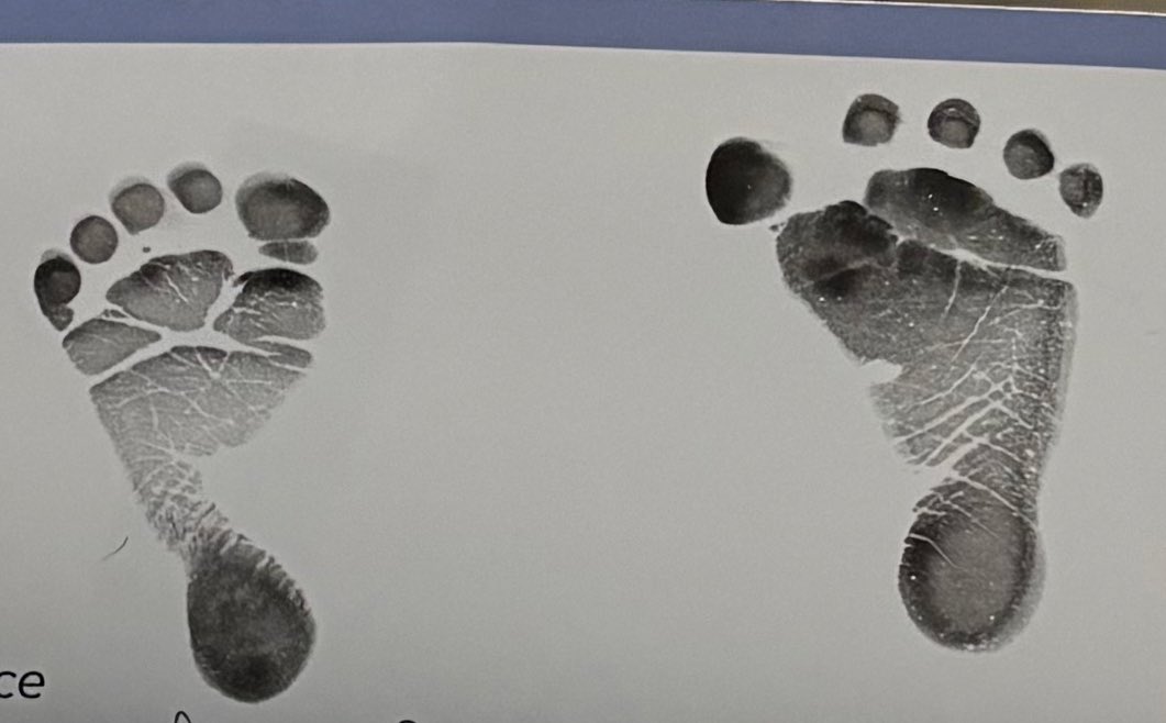 The Middle-earth Mixer tweet media