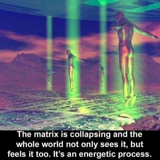 ThriveMovement's tweet image. If you know, you know! freetothrive.com

#thrive #conspiracy #matrix #consciousnessrising