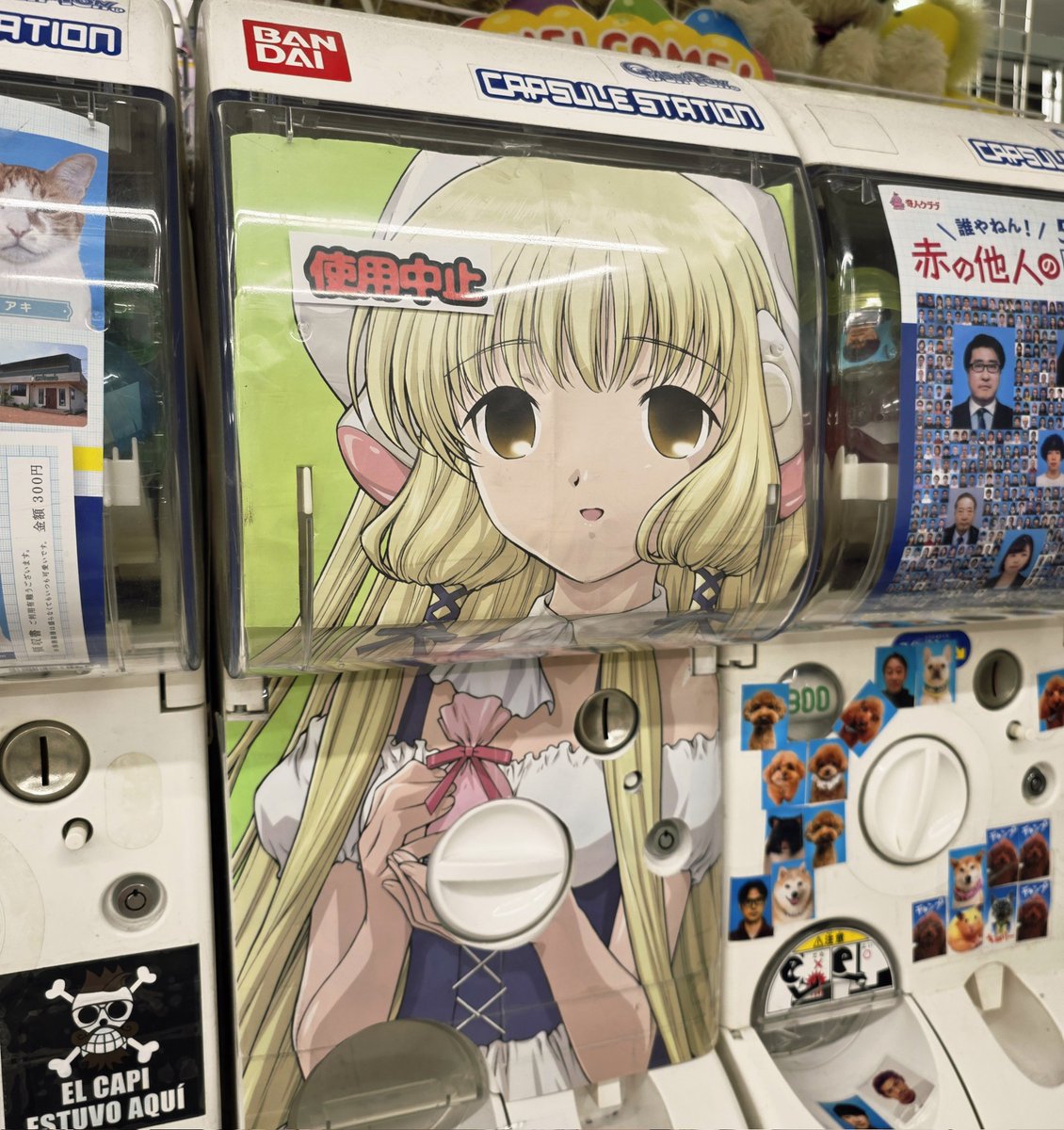 中野ブロードウェイで見つけたもの tweet media