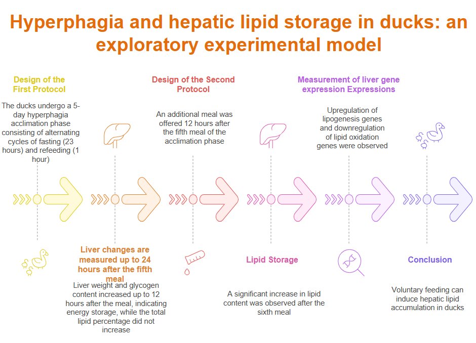 AJP-Regulatory, Integrative Comparative Physiology tweet media