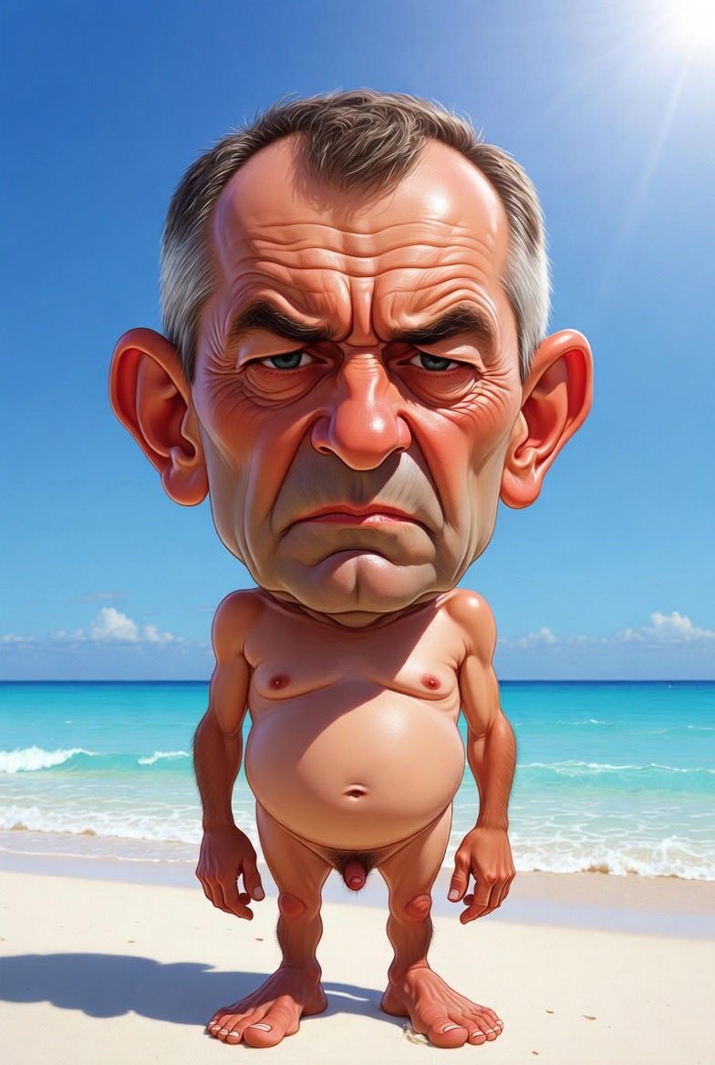 Nu i Lliure tweet media