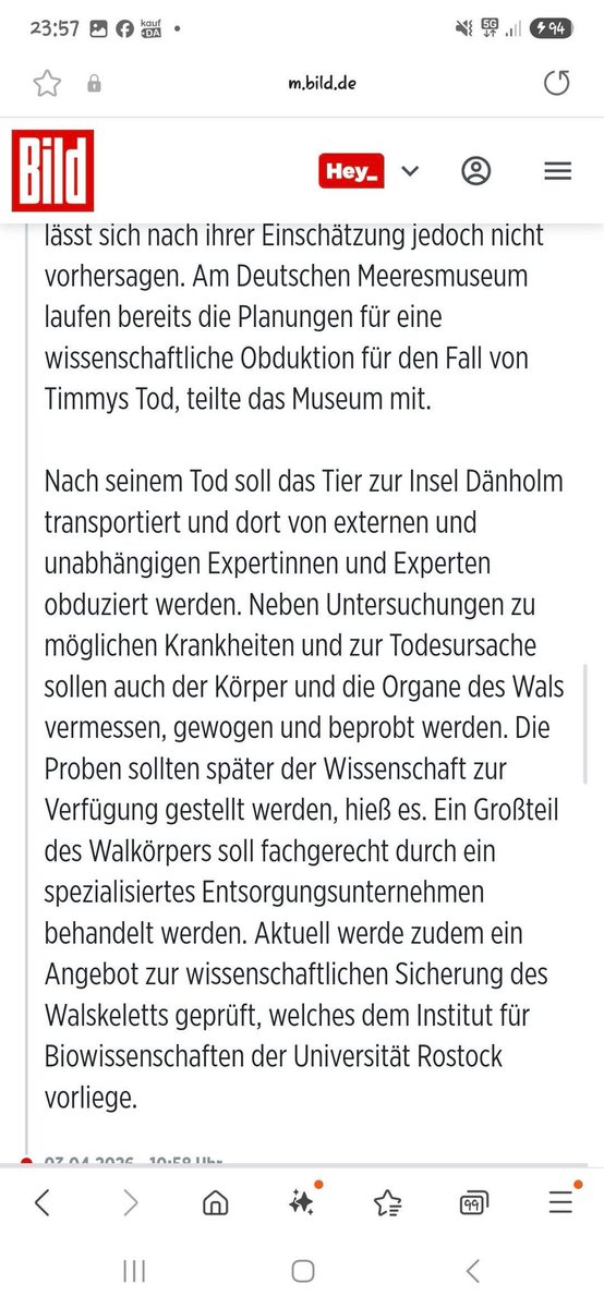 Jelena 🇭🇷🙏🕊✝️ tweet media