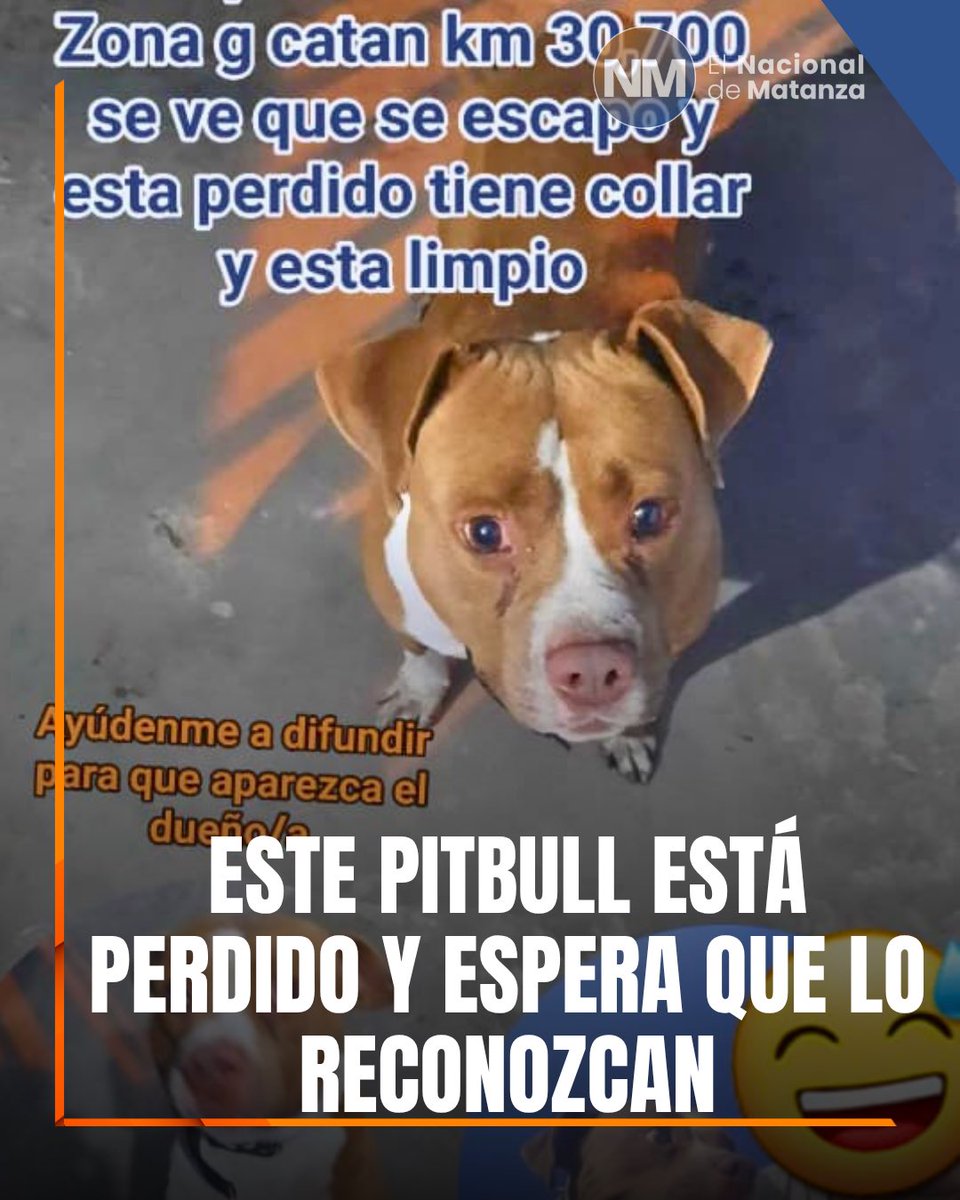 El Nacional de Matanza tweet media